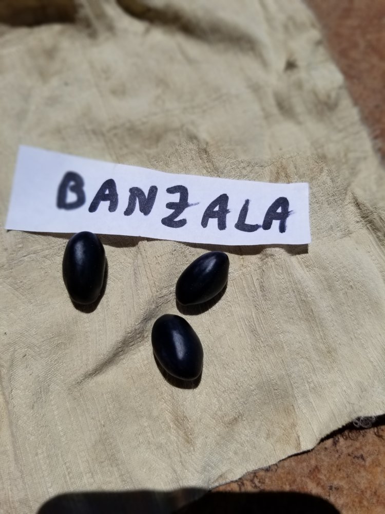 Banzala First.jpg