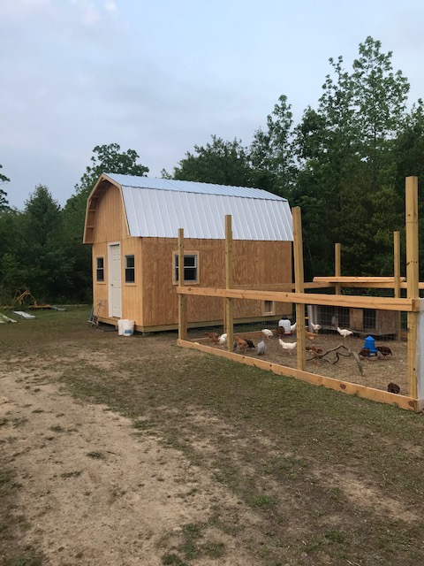 barn3.jpg
