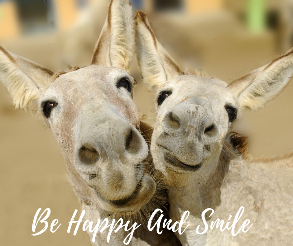 be happy mules.jpg