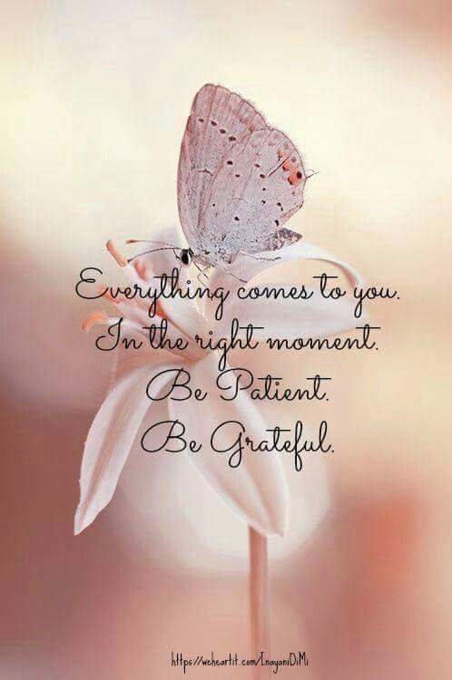 be patient an dgrateful.jpg