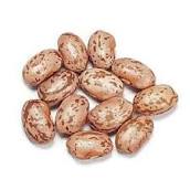 BEAN #3 - Roark.jpg