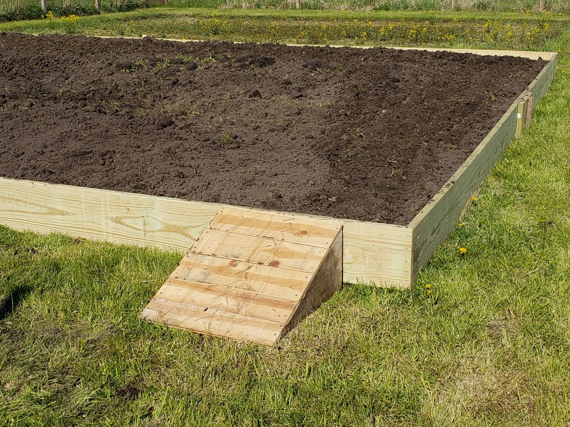 Bean Acres Raised Bed Box - Day #3 #1.jpg