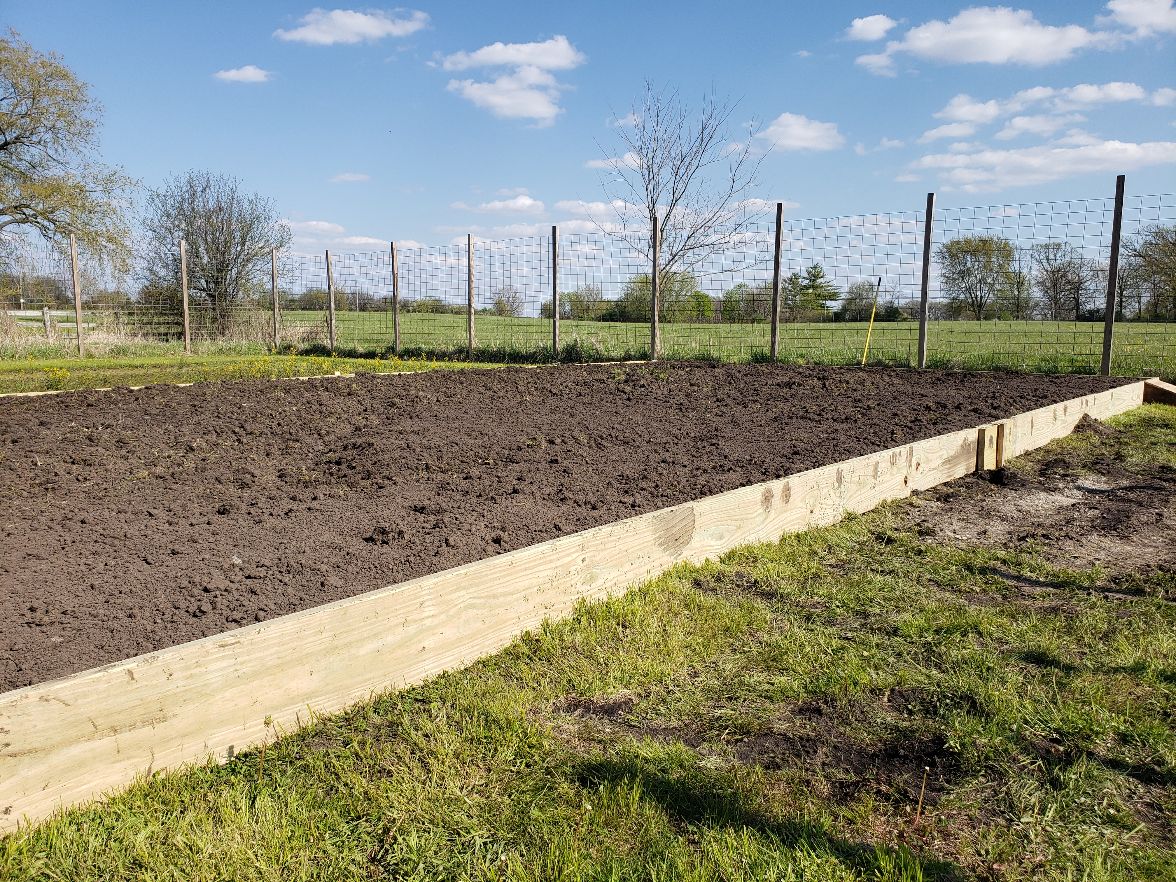 Bean Acres Raised Bed Box - Day #3 #2.jpg