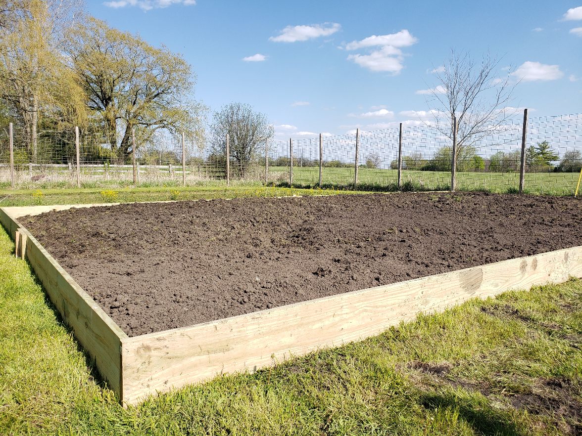 Bean Acres Raised Bed Box - Day #3 #3.jpg