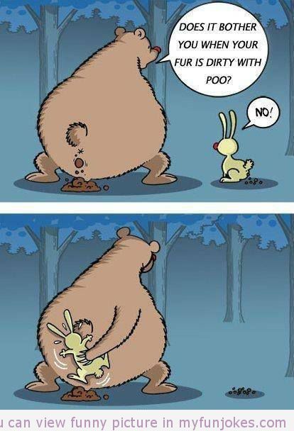 Bear.jpeg