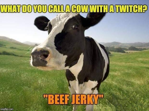 beef jerky.jpg