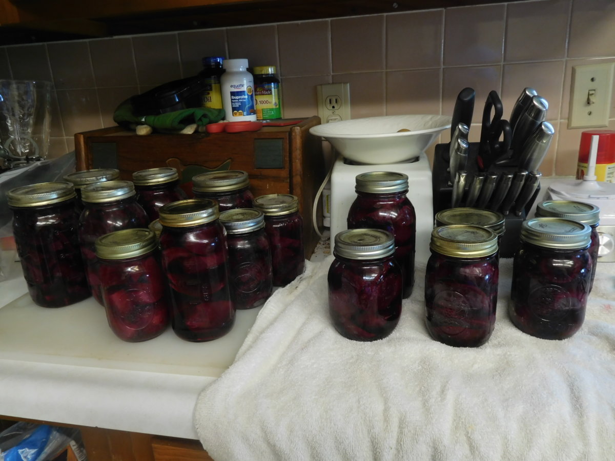 Beets, 11 and half quarts, 08-04-17.JPG