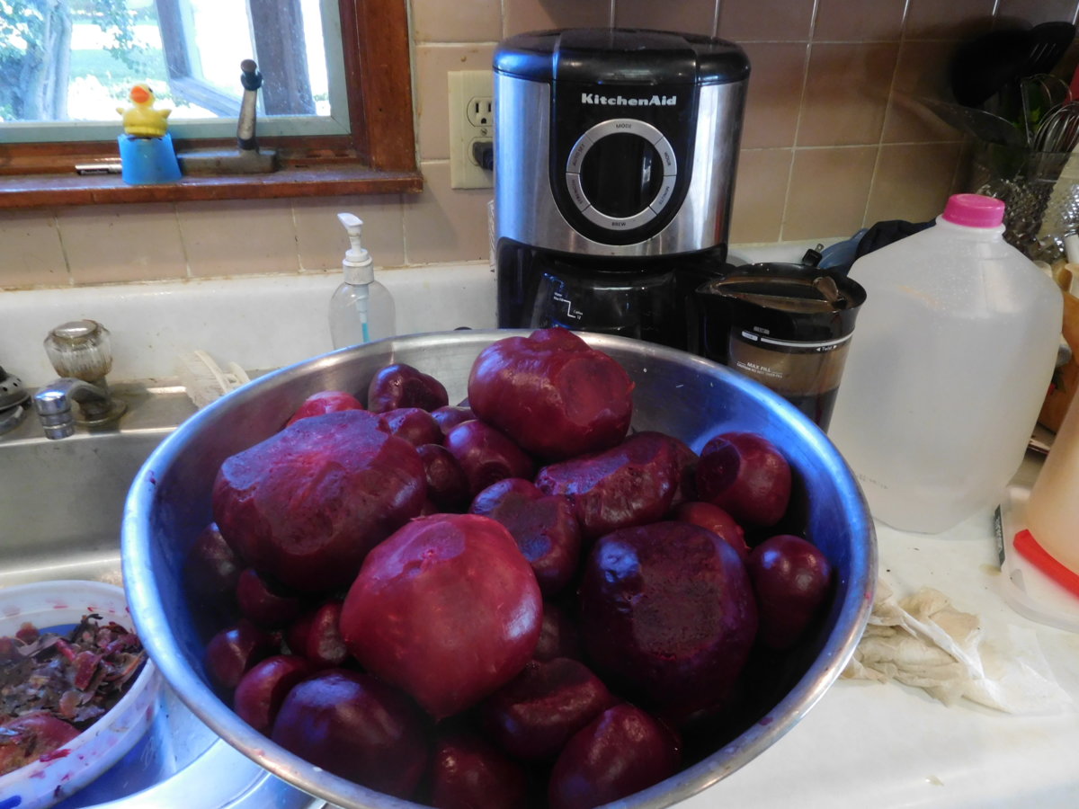 Beets, peeled, 08-04-17.JPG