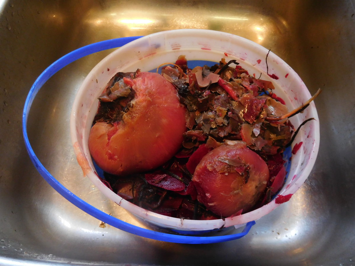 Beets, rejects for chickebns, 08-04-17.JPG