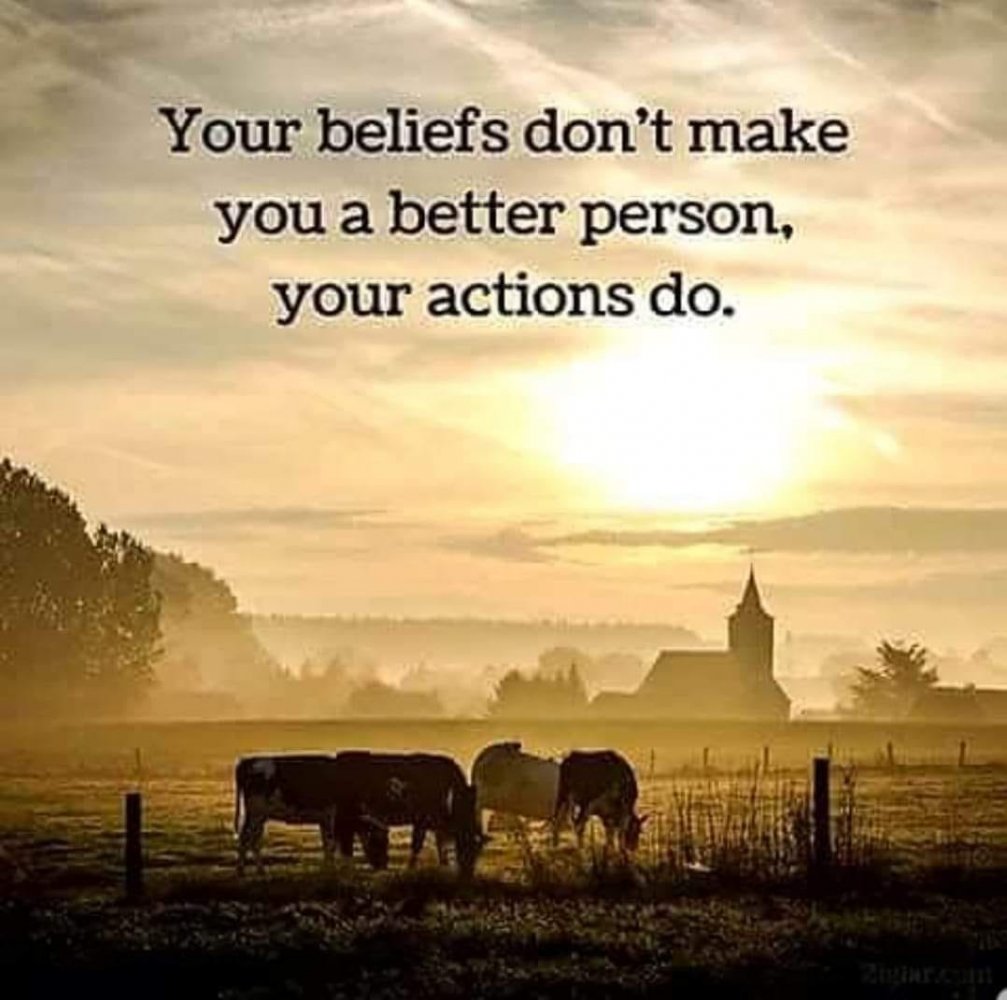 beliefs actions.jpg