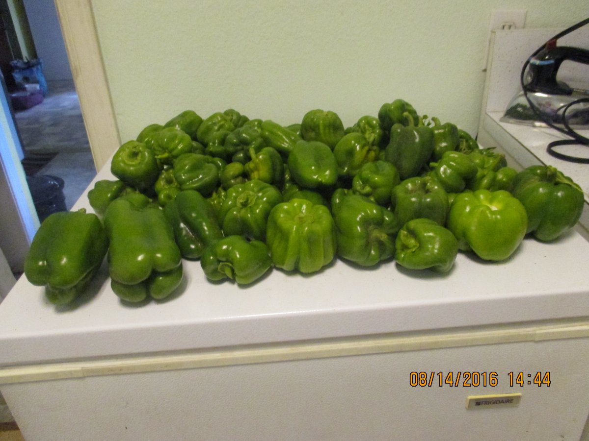 bell peppers.JPG