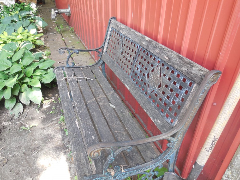 Bench robs.JPG