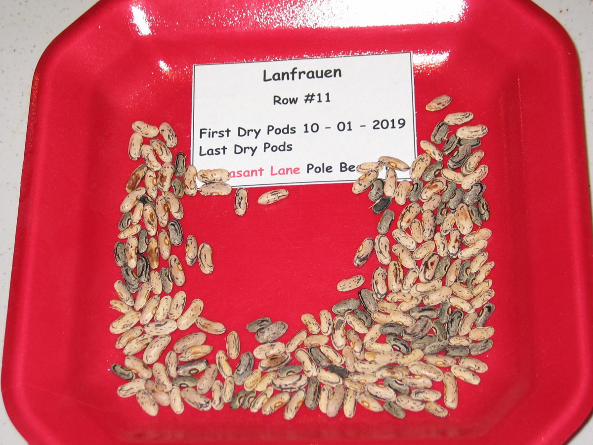 Berner Landfrauen Tray - 1.55.JPG