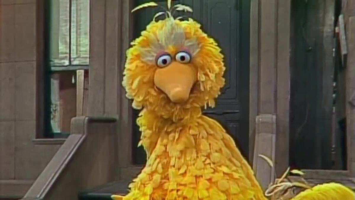 big bird.jpg
