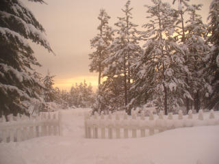 big snow cleanup024.jpg