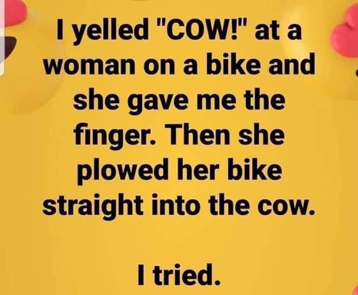 bike v cow.jpg