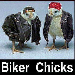 biker chicks.jpg