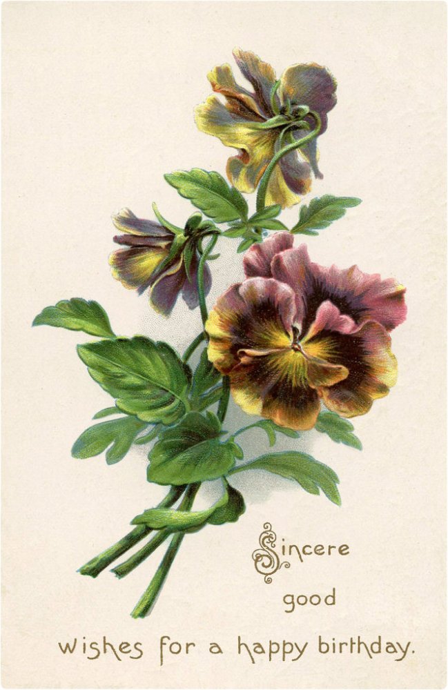 Birthday-Floral-Pansy-Image-GraphicsFairy-664x1024.jpg