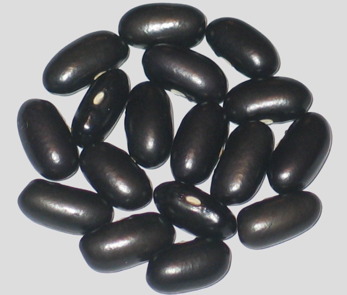 Black Hawk.jpg