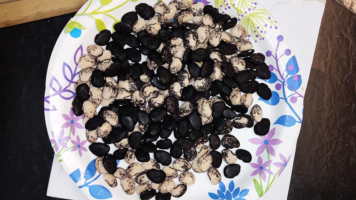 Black Neptune lots.jpg