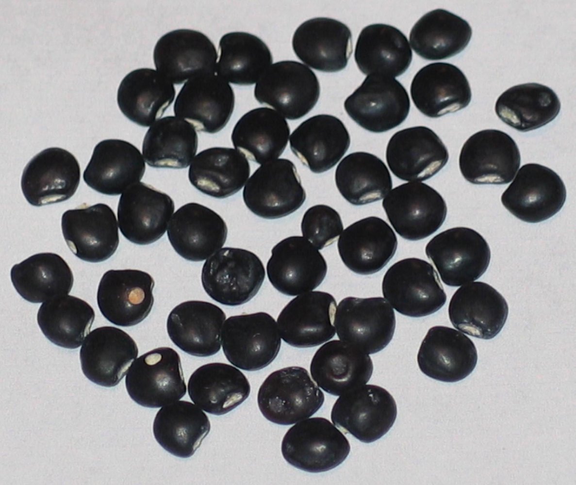Black Pigeon Peas.jpg