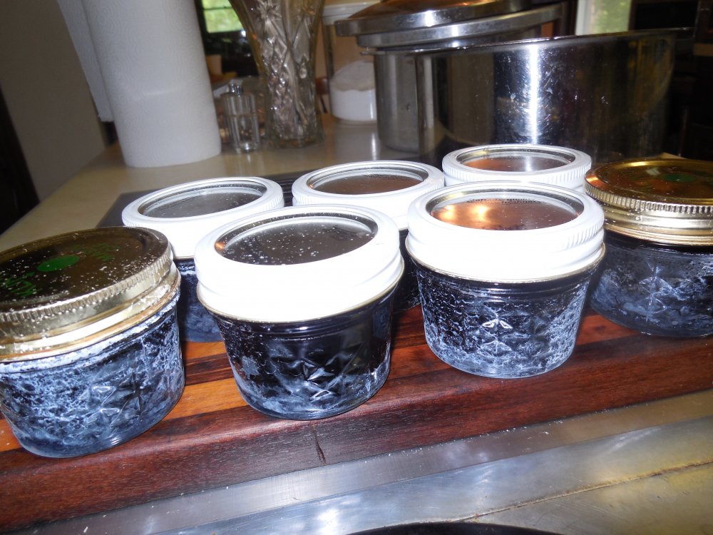 Black raspberry Black raspberry Gypsy\'s jelly.JPG