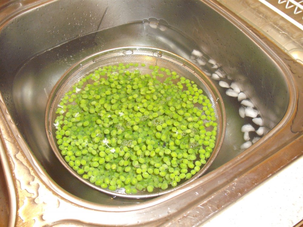 blanch 4.JPG