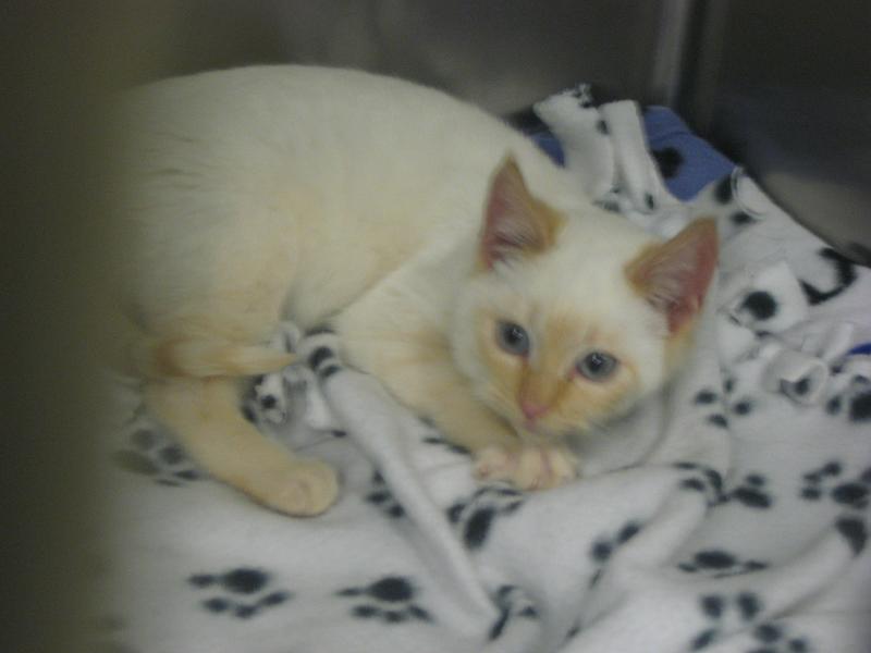 Blinky first picture.jpg