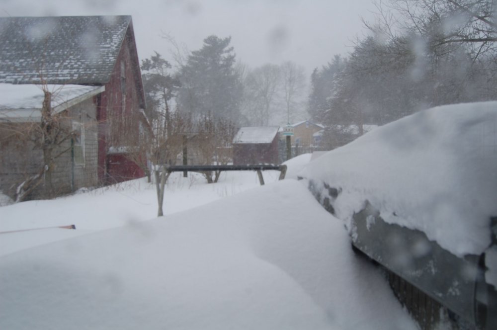 Blizzard 2015-1.jpg