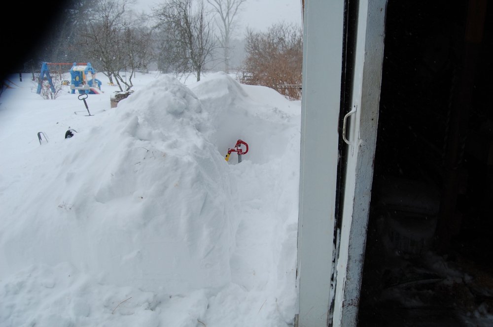 blizzard 2015-3.jpg
