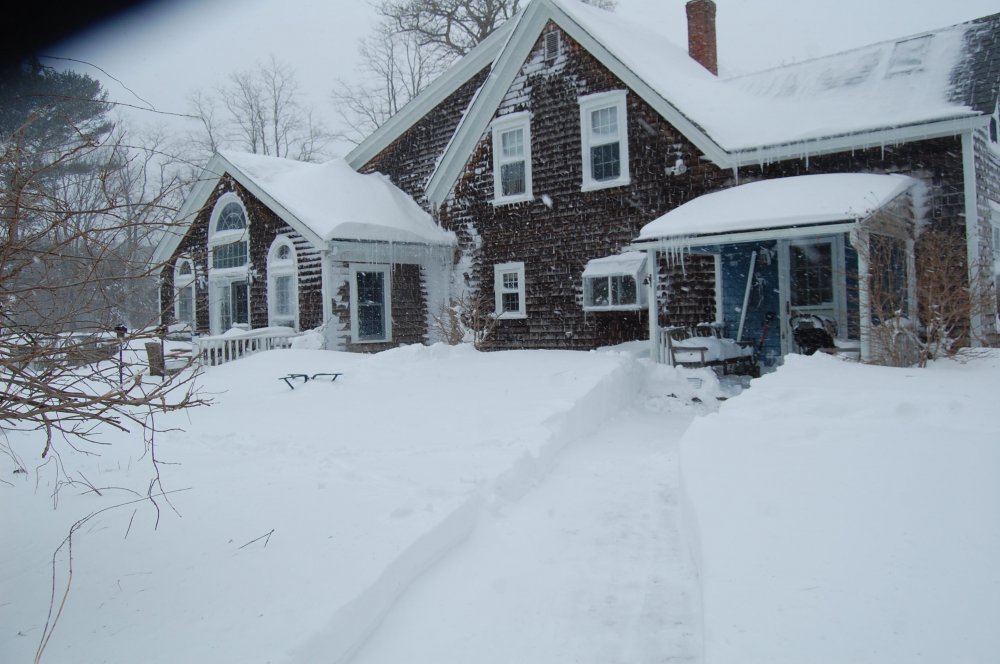 blizzard 2015-5.jpg