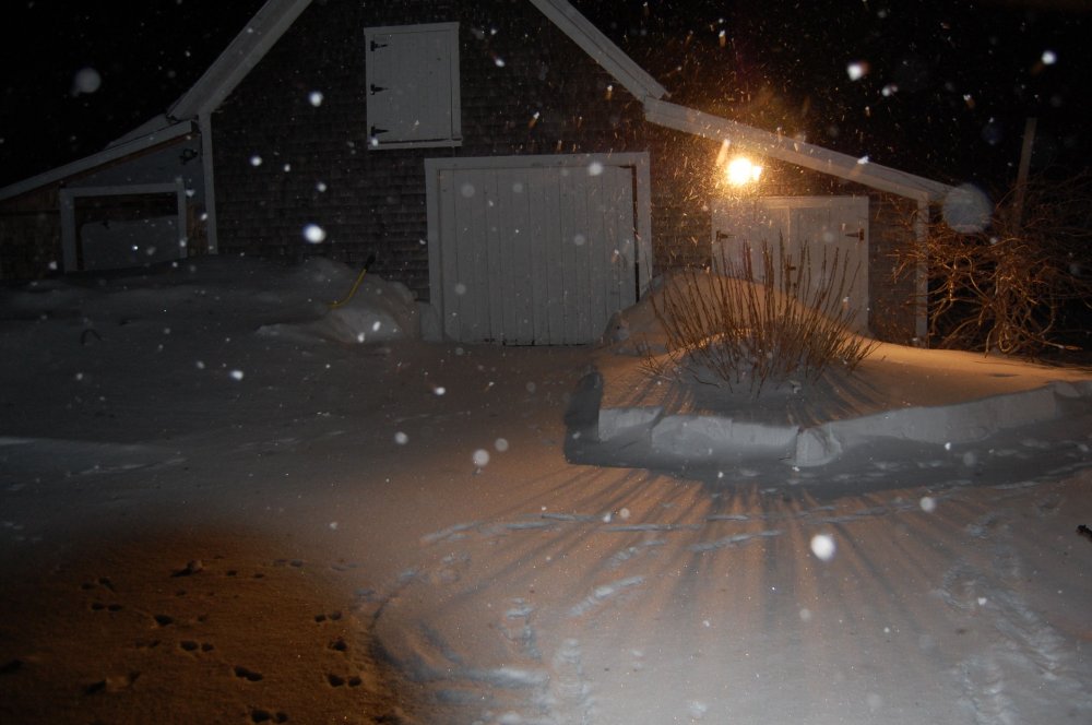 blizzard 2015-still snowing.jpg