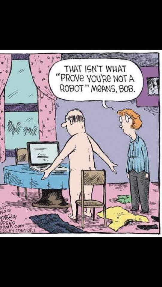 bob.jpg