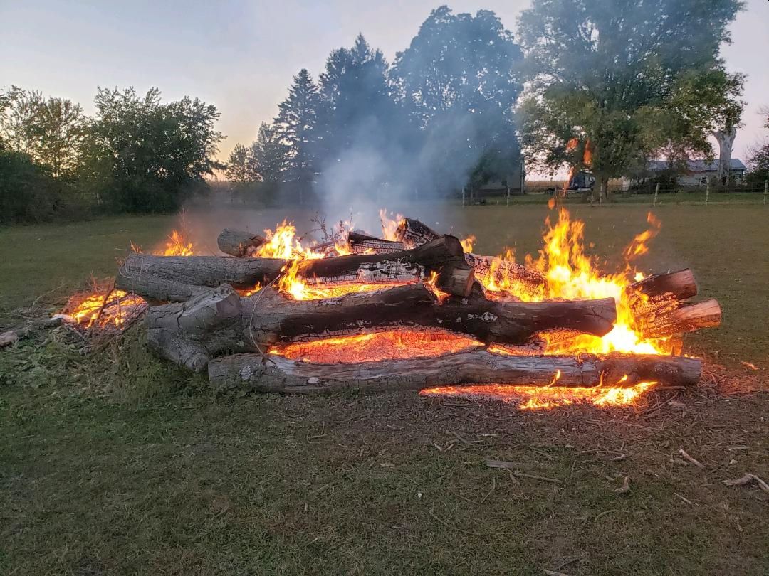Bonfire#1, 10-08-22.jpg