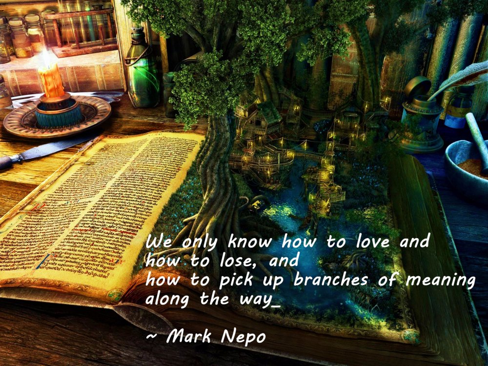 book-and-tree.jpg