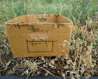 box.JPG