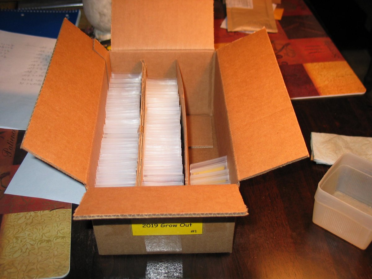 BOX WITH 2 x 3 BAGGIES.JPG