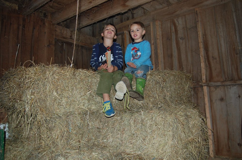 boys on hay 2.jpg