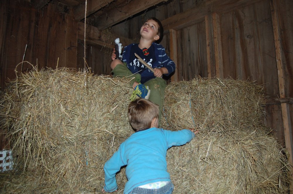 boys on hay.jpg