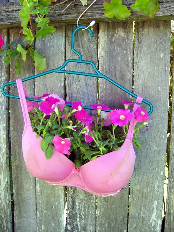 bra hanger.JPG