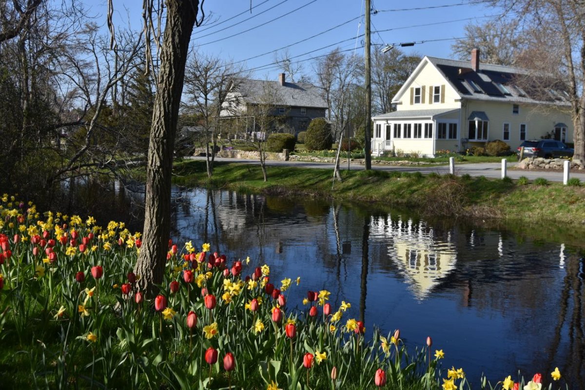 bridge and tuliips 2.jpg