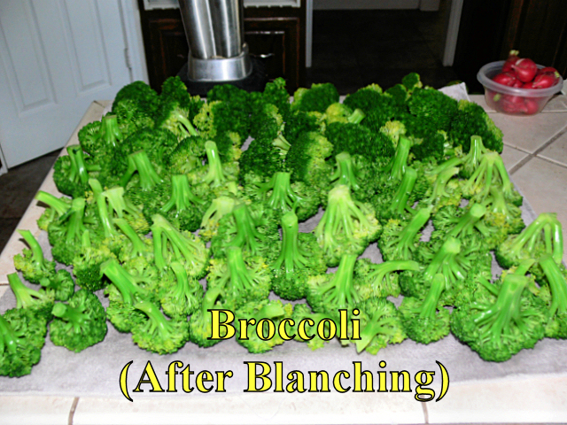 Broccoli2_120814.jpg