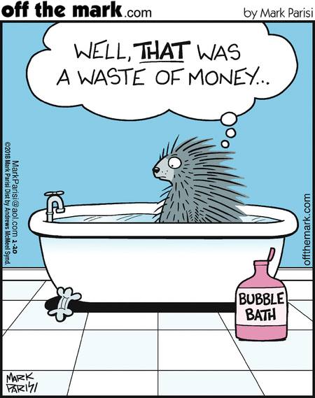 bubble bath hedge hog.jpg