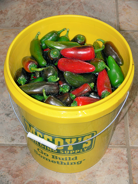 Bucket_Of_Japs.jpg