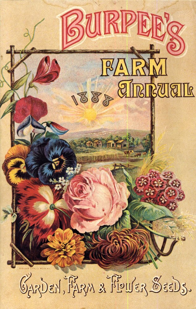 Burpee - 1888.jpg