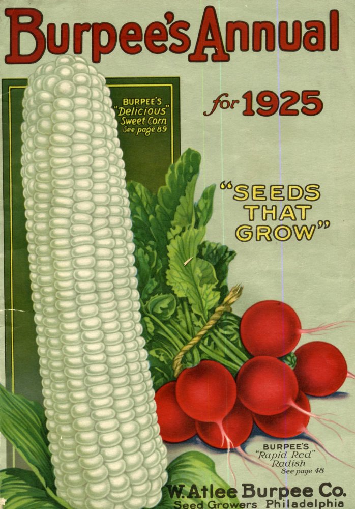 Burpee - 1925.jpg