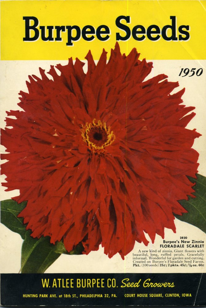 Burpee - 1950.jpg