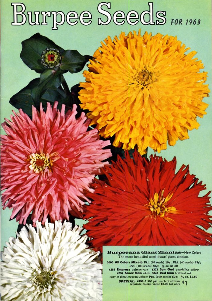Burpee - 1963.jpg