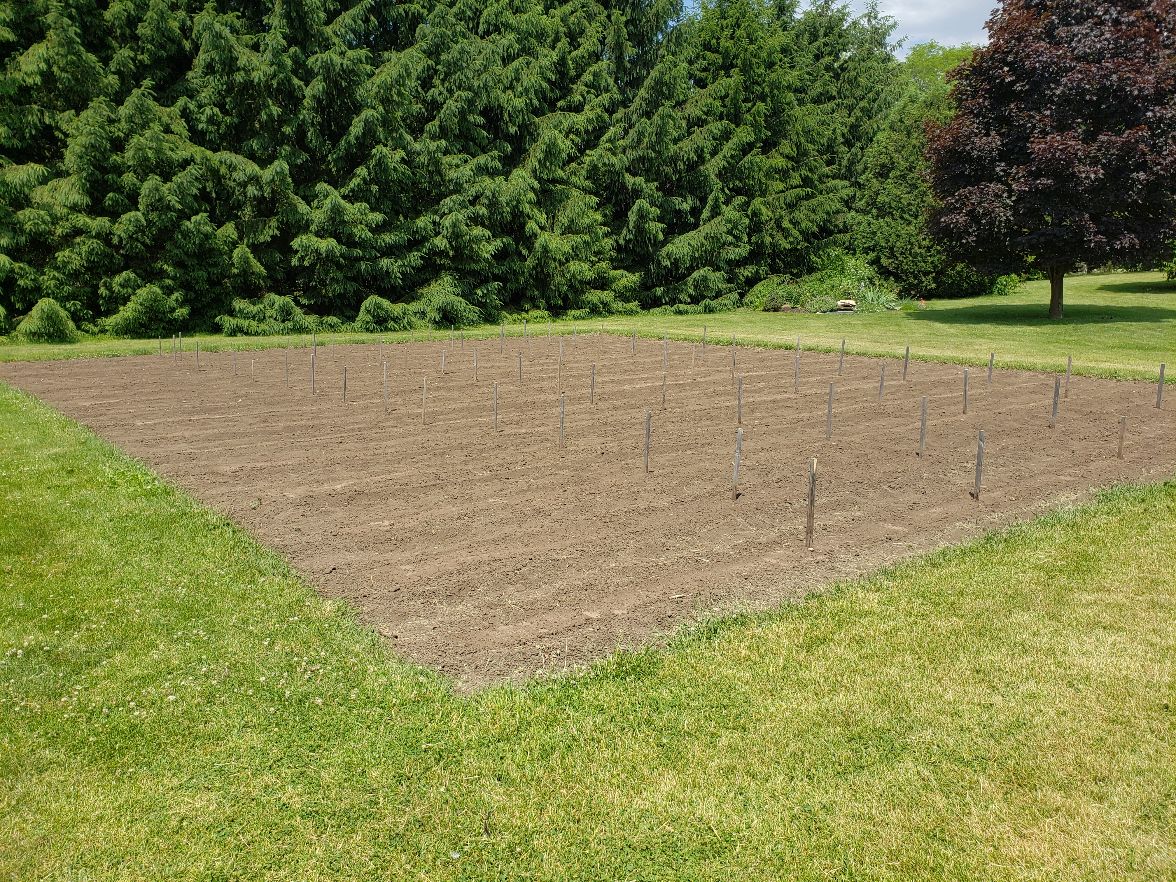 Bush Plot Pheasant Lane 2020 #1.jpg