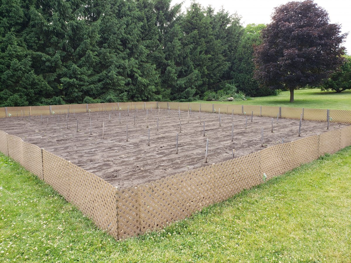 Bush Plot Pheasant Lane Rabbit Fenced.jpg
